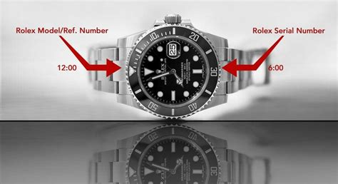 rolex model number|Rolex model number search up.